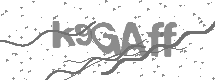 visual captcha